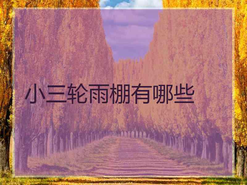 小三轮雨棚有哪些
