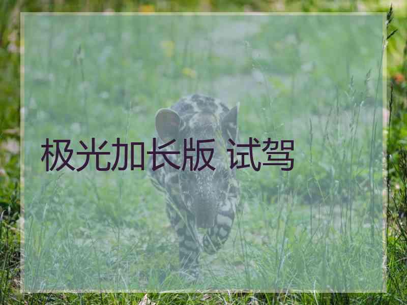 极光加长版 试驾