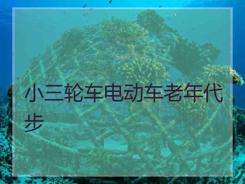 小三轮车电动车老年代步