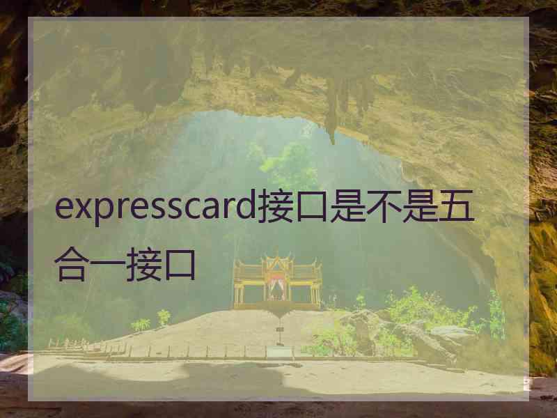 expresscard接口是不是五合一接口