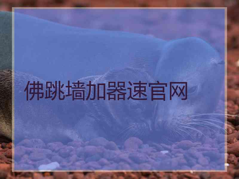 佛跳墙加器速官网