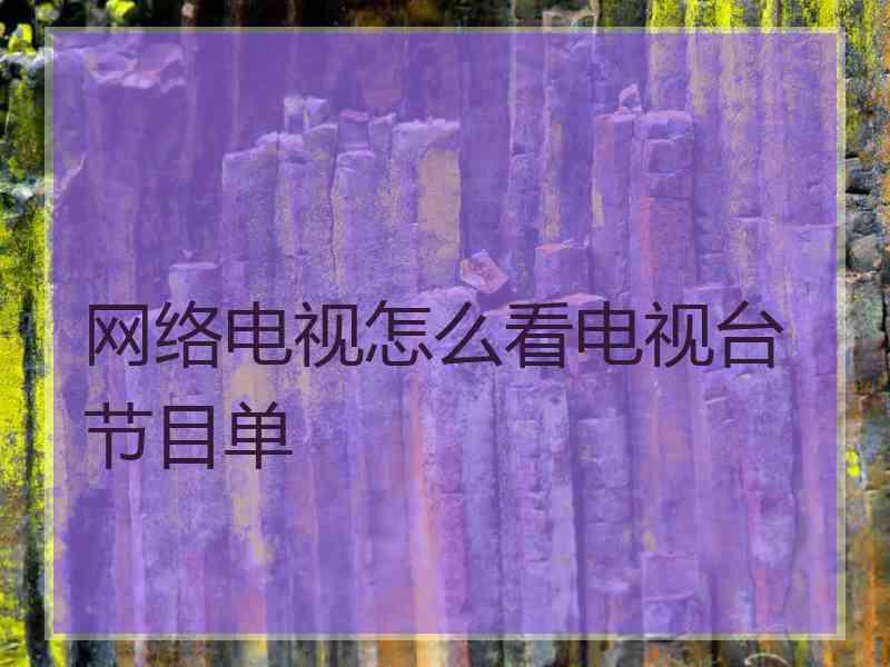 网络电视怎么看电视台节目单