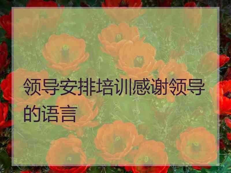 领导安排培训感谢领导的语言