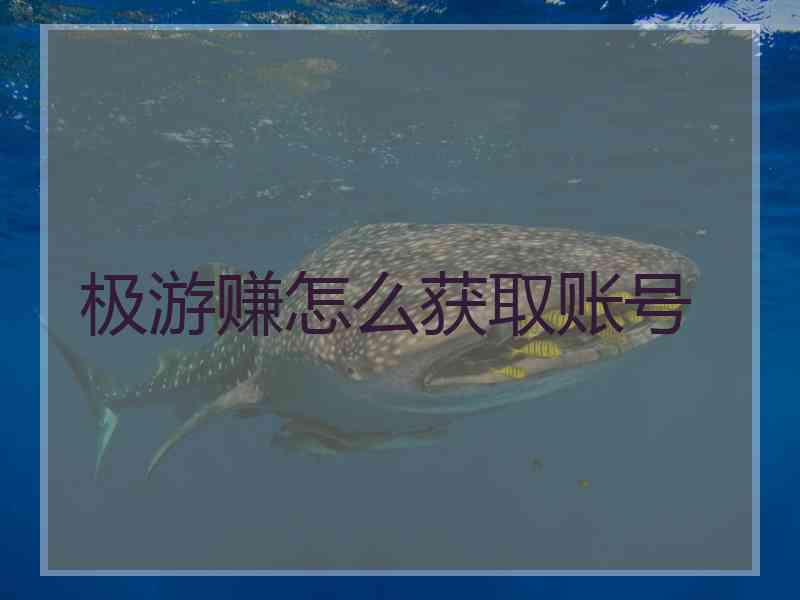 极游赚怎么获取账号