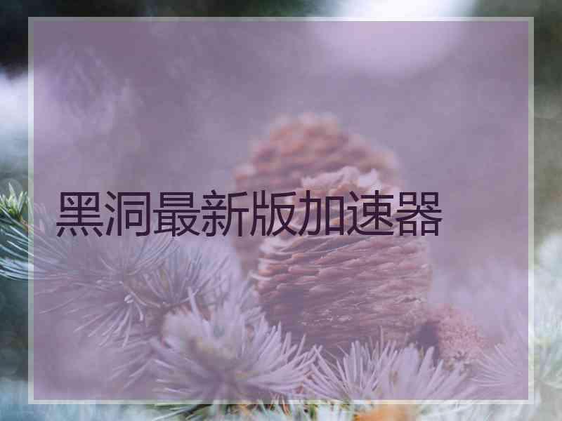 黑洞最新版加速器