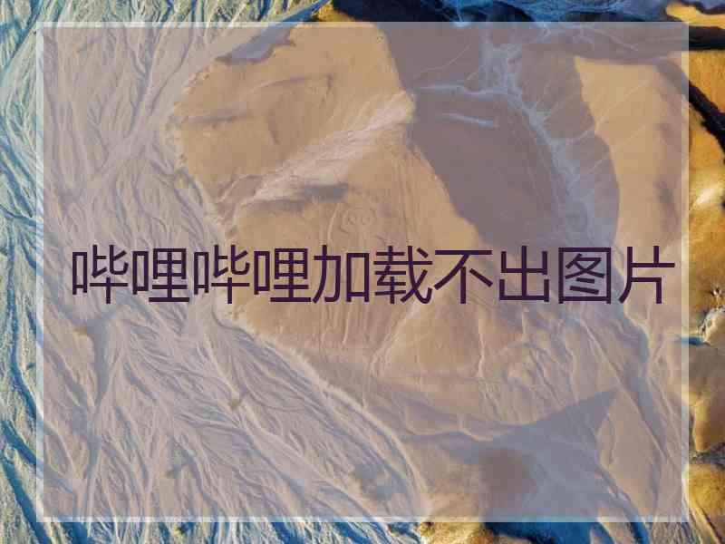 哔哩哔哩加载不出图片