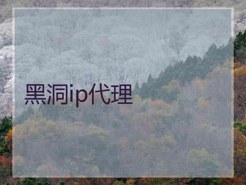 黑洞ip代理
