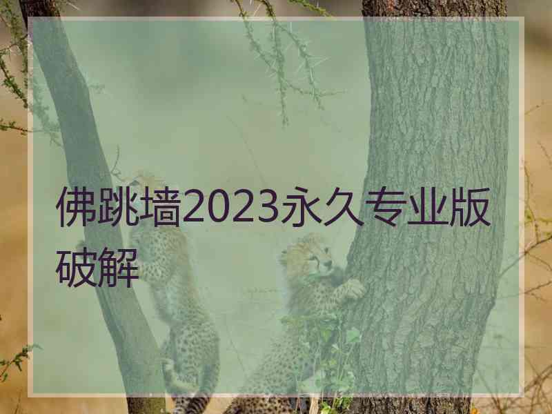 佛跳墙2023永久专业版破解