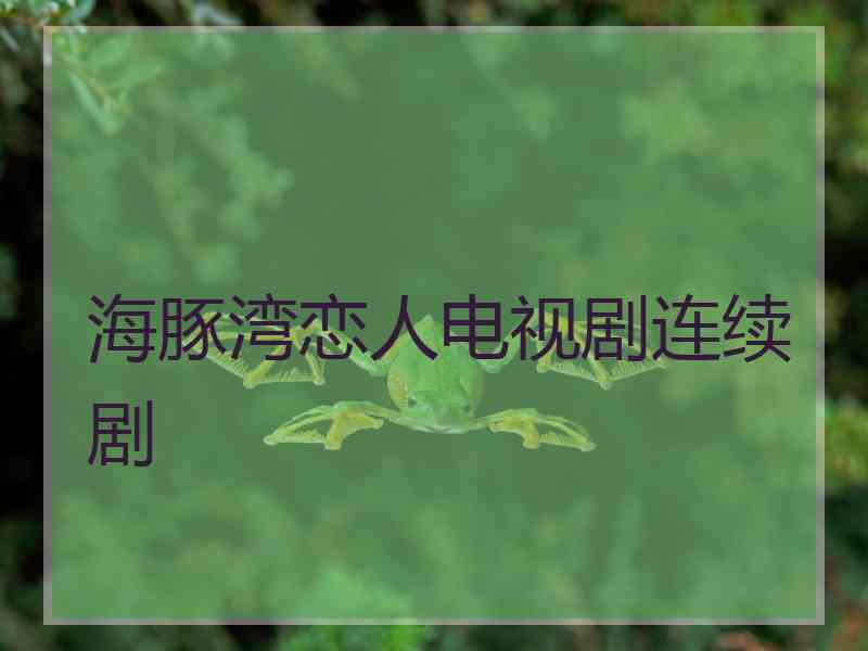 海豚湾恋人电视剧连续剧