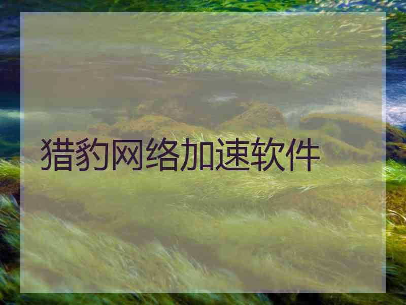猎豹网络加速软件