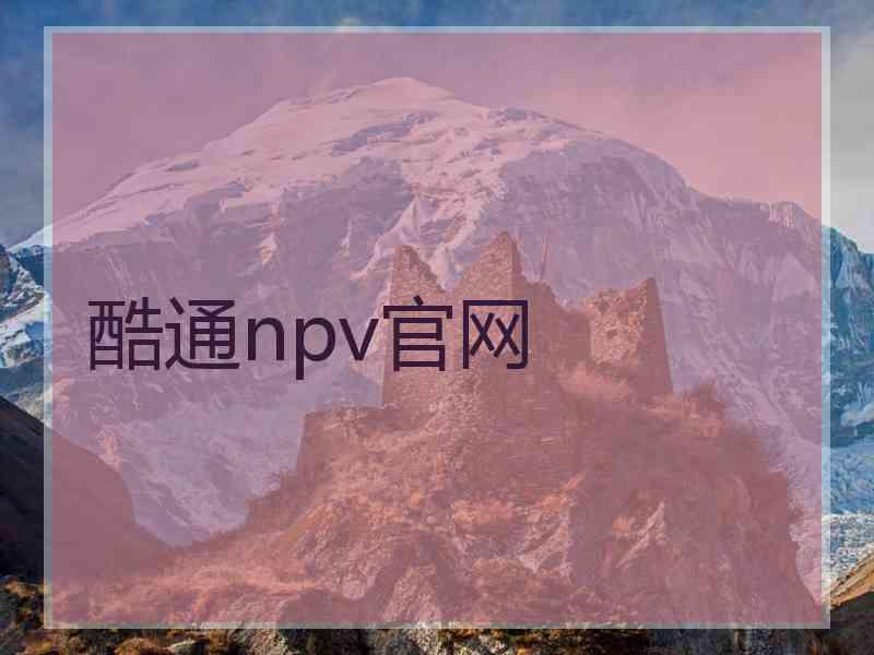 酷通npv官网