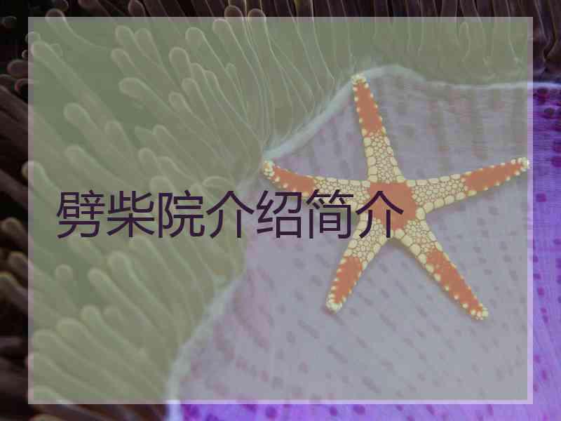 劈柴院介绍简介