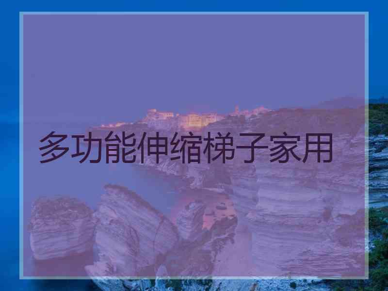 多功能伸缩梯子家用
