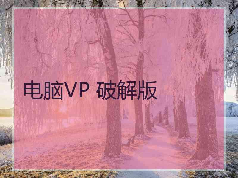 电脑VP 破解版