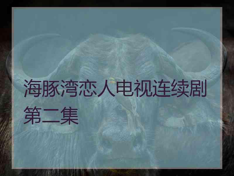 海豚湾恋人电视连续剧第二集