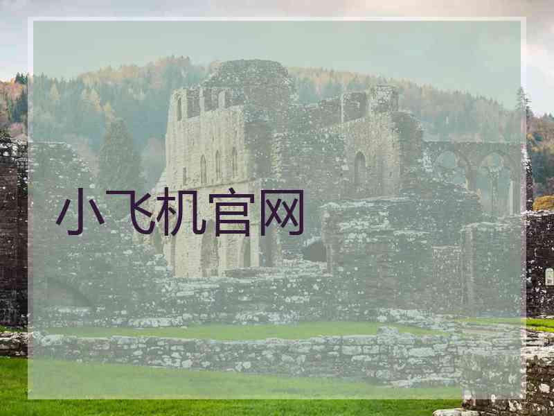 小飞机官网