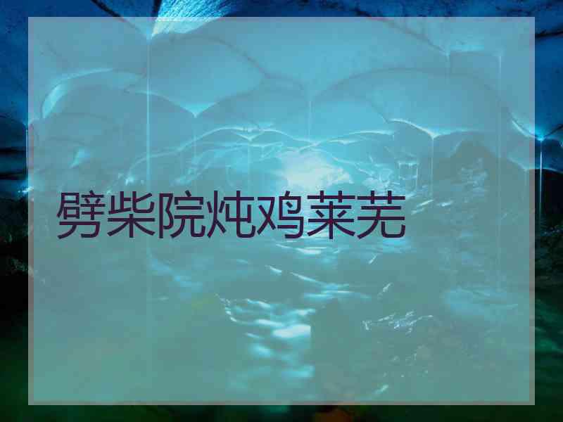 劈柴院炖鸡莱芜
