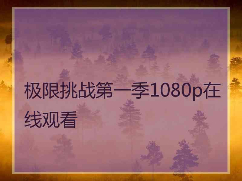 极限挑战第一季1080p在线观看