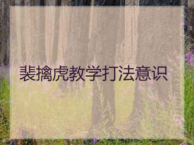 裴擒虎教学打法意识