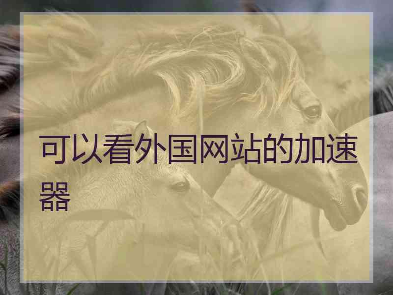 可以看外国网站的加速器