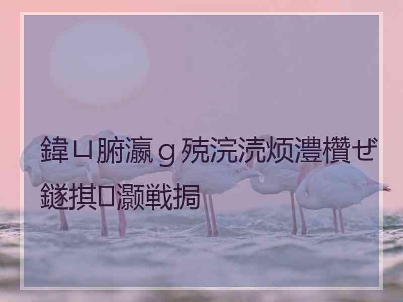 鍏ㄩ腑瀛ｇ殑浣涜烦澧欑ぜ鐩掑灏戦挶
