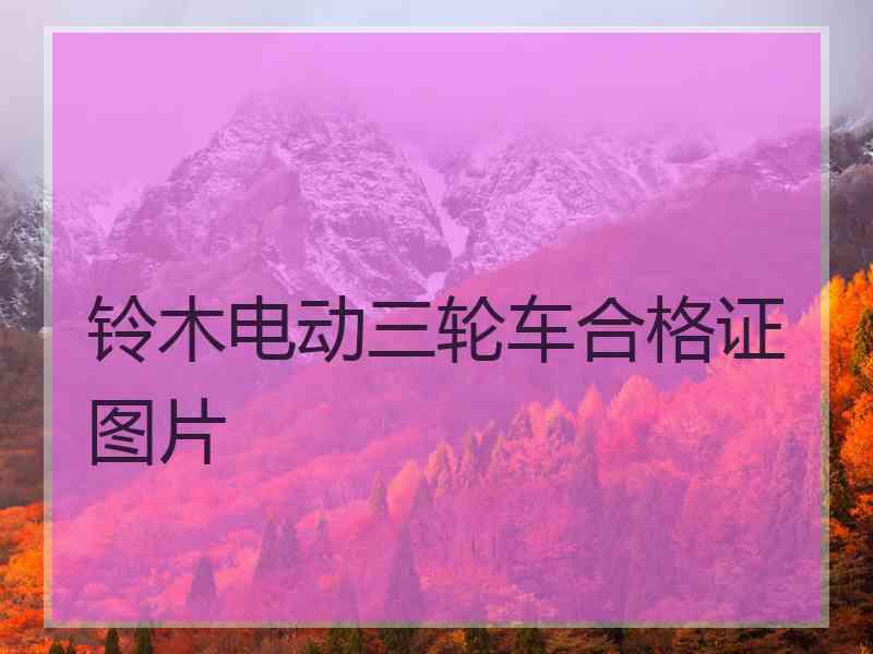 铃木电动三轮车合格证图片