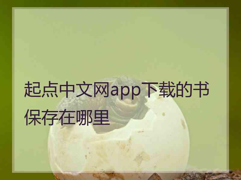 起点中文网app下载的书保存在哪里