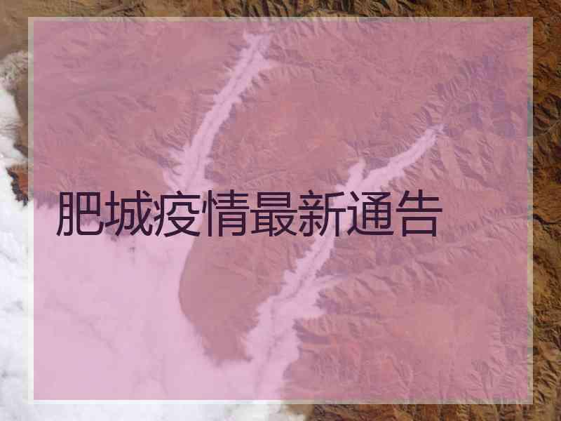 肥城疫情最新通告