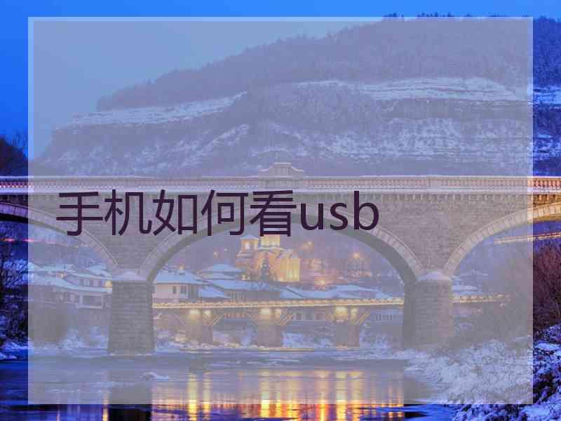手机如何看usb