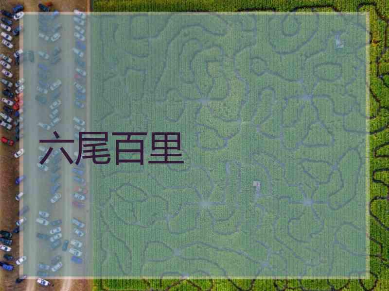 六尾百里