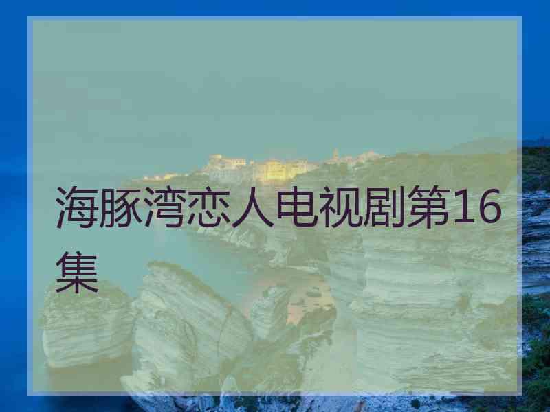 海豚湾恋人电视剧第16集