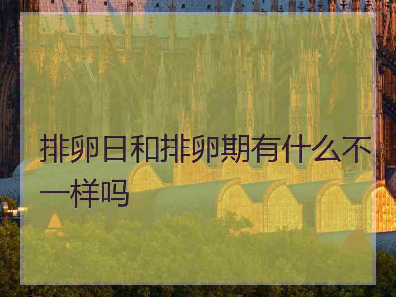 排卵日和排卵期有什么不一样吗