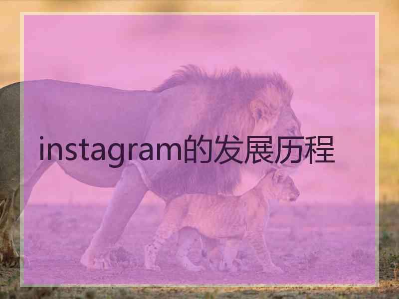 instagram的发展历程