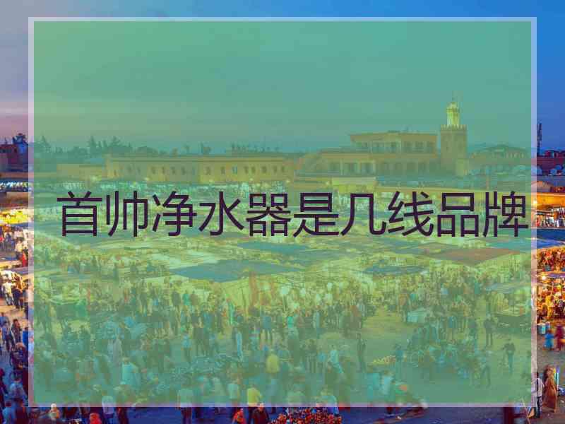 首帅净水器是几线品牌