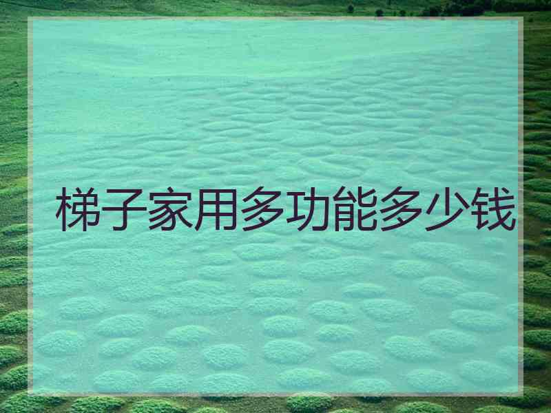 梯子家用多功能多少钱