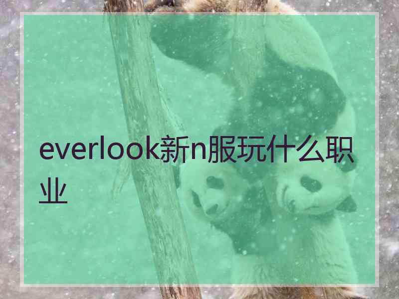 everlook新n服玩什么职业