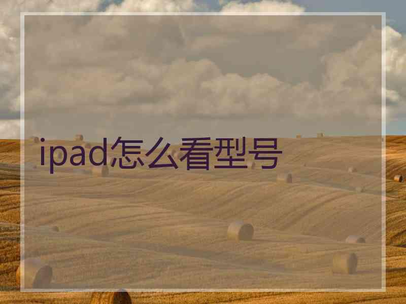 ipad怎么看型号