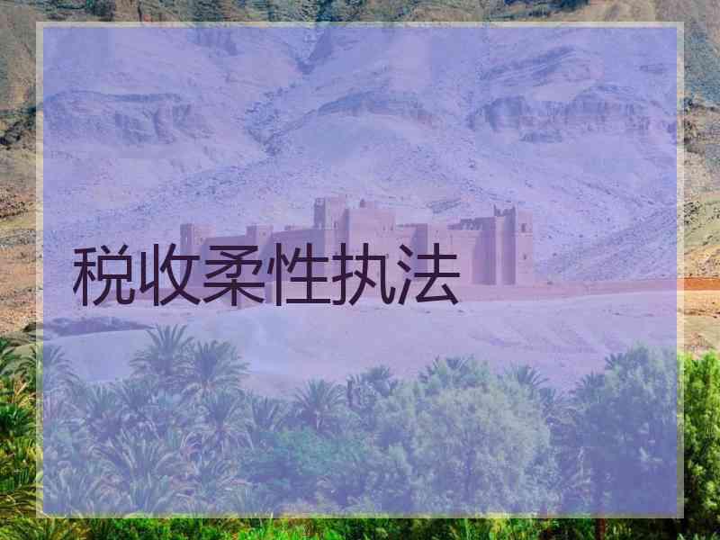 税收柔性执法