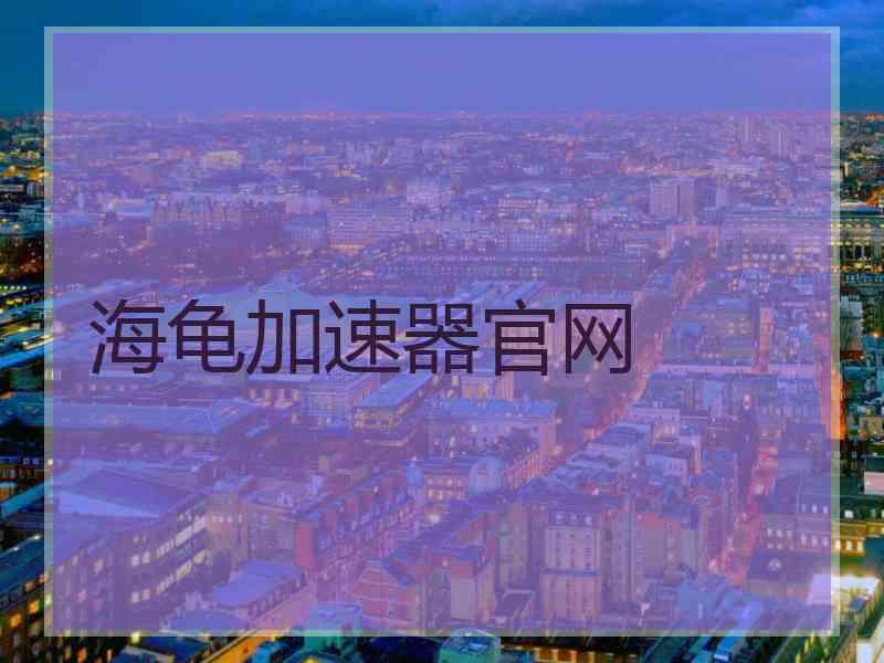 海龟加速器官网