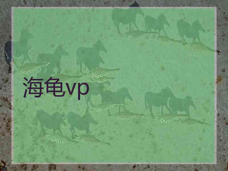 海龟vp