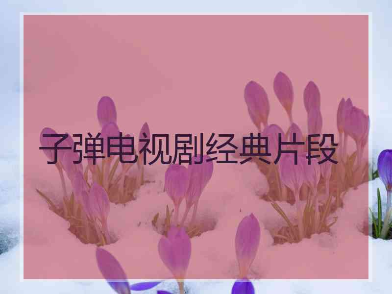 子弹电视剧经典片段