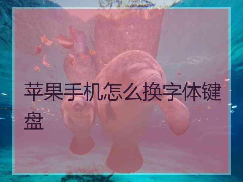 苹果手机怎么换字体键盘
