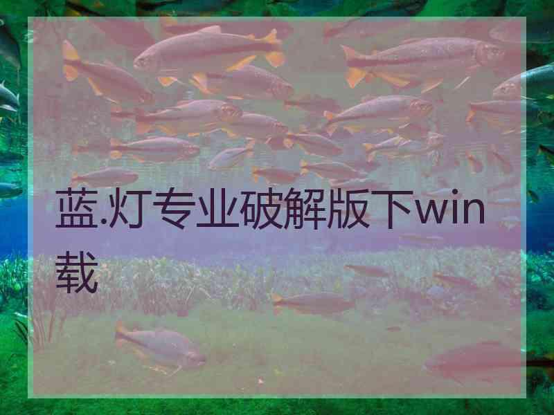 蓝.灯专业破解版下win载