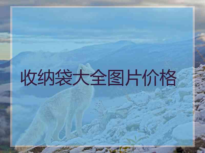 收纳袋大全图片价格