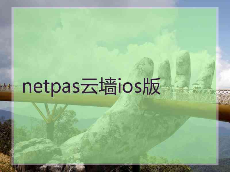 netpas云墙ios版