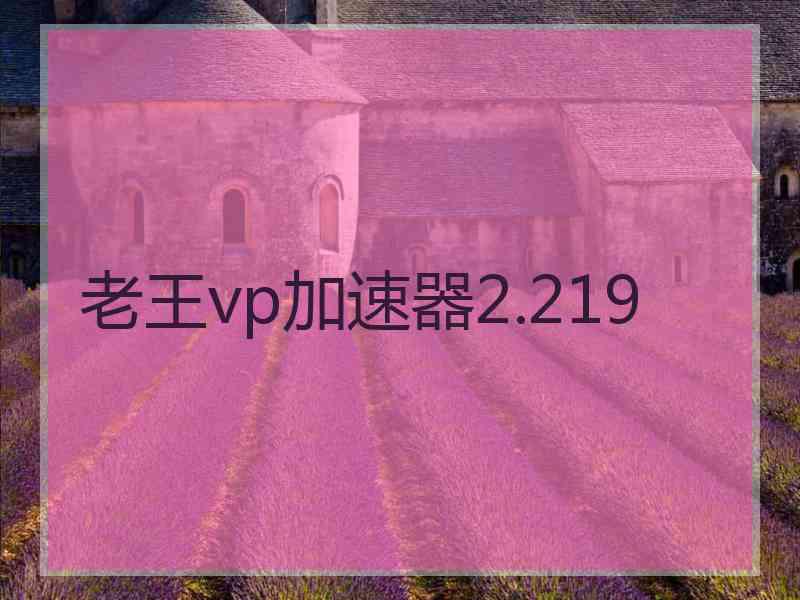 老王vp加速器2.219