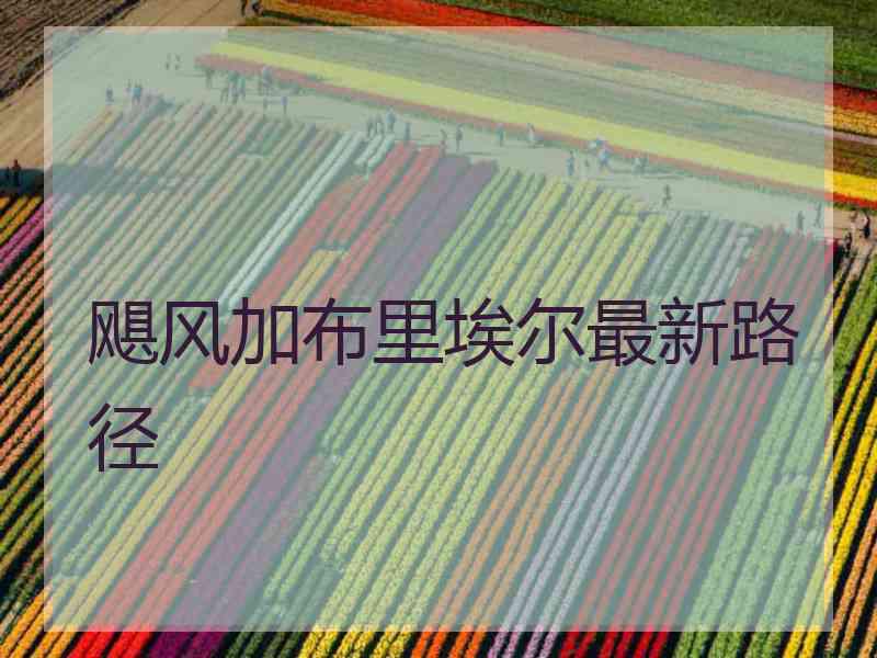 飓风加布里埃尔最新路径