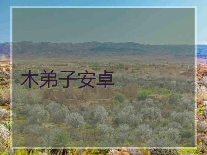 木弟子安卓