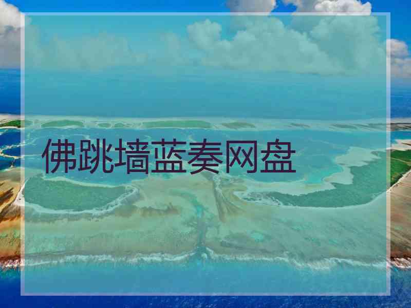 佛跳墙蓝奏网盘