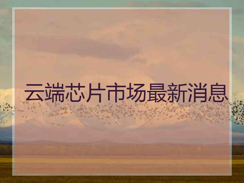 云端芯片市场最新消息